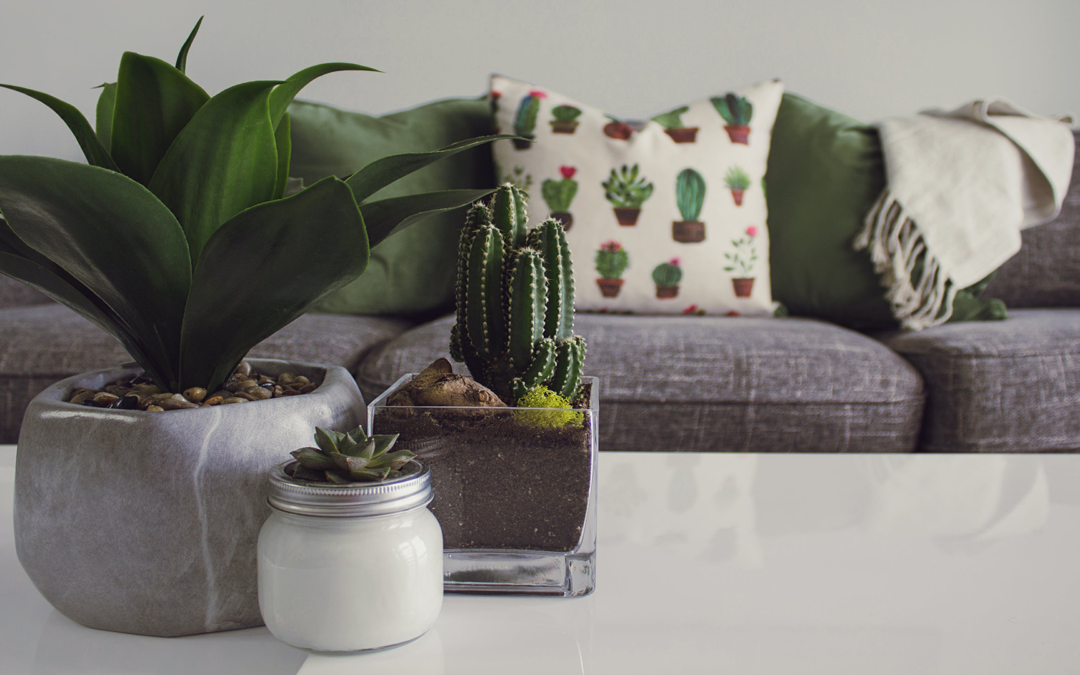Home Stager Reveals 4 Hot Trends for 2024